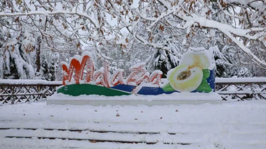 Malatya'da kayısı bahçeleri beyaz gelinliğini giydi