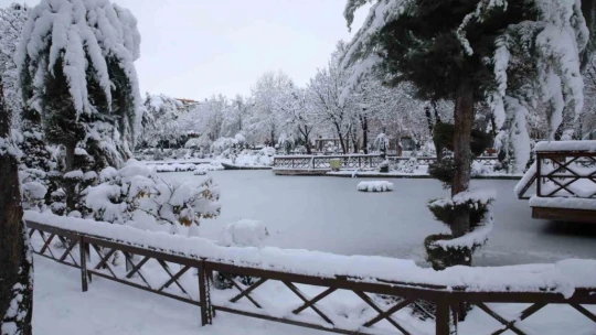 Malatya'da kayısı bahçeleri beyaz gelinliğini giydi