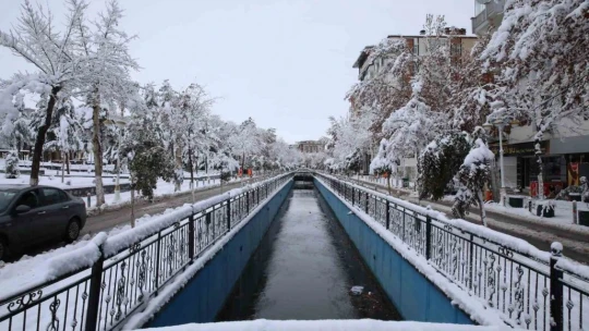 Malatya'da kayısı bahçeleri beyaz gelinliğini giydi