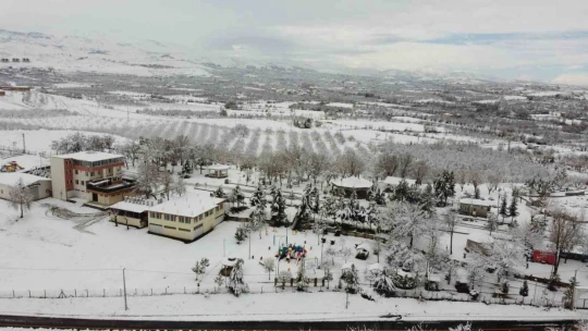 Malatya'da kayısı bahçeleri beyaz gelinliğini giydi