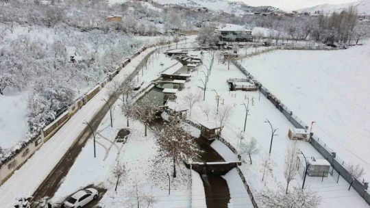 Malatya'da kayısı bahçeleri beyaz gelinliğini giydi