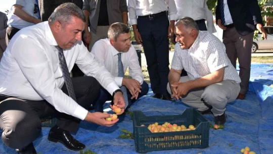 'Türkiye ekonomisine de çok ciddi katkıları var'