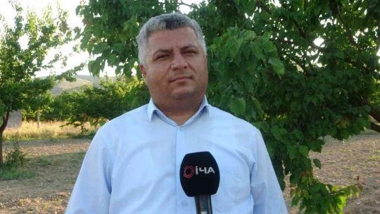 Malatya'da kayısı üreticisi hasat için gün sayıyor