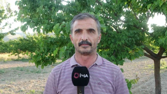 Malatya'da kayısı üreticisi hasat için gün sayıyor