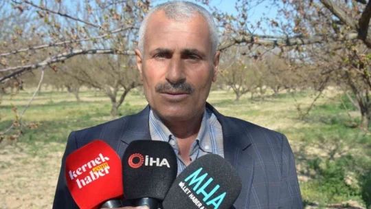 Malatya'da kayısıyı don vurdu