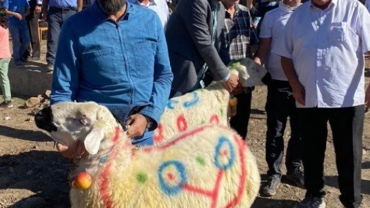 Malatya'da koç katım şenliği düzenlendi