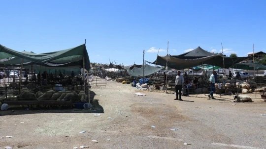 Malatya'da küçükbaş kurbanlıklara rağbet az oldu