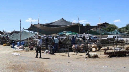 Malatya'da küçükbaş kurbanlıklara rağbet az oldu