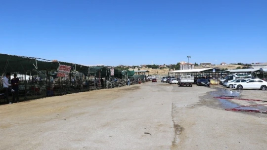 Malatya'da küçükbaş kurbanlıklara rağbet az oldu