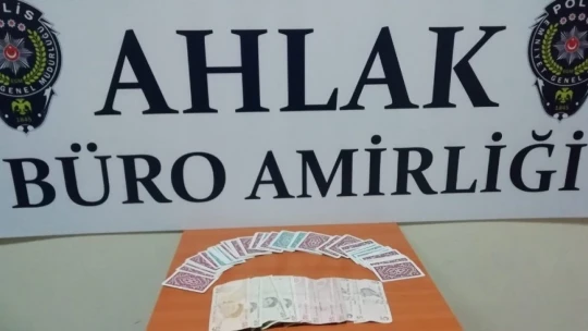 Malatya'da kumar ve fuhuş operasyonu