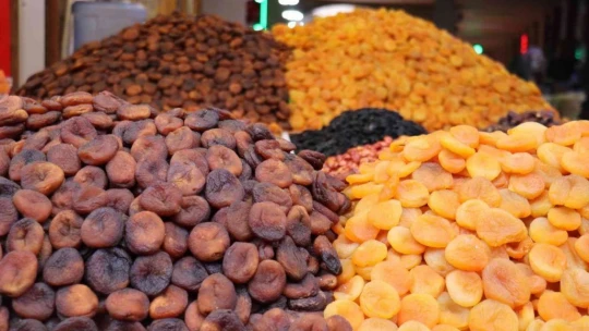 Malatya'da kuru kayısıda tahmini rekolte 75 bin 776 ton