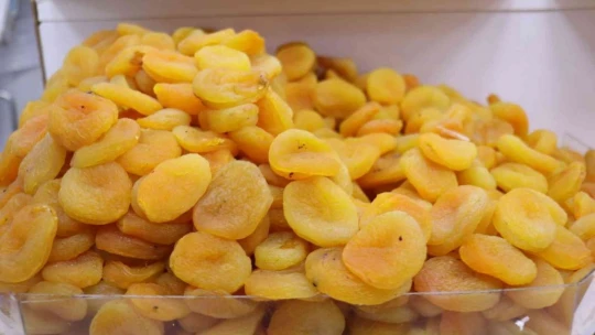 Malatya'da kuru kayısıda tahmini rekolte 75 bin 776 ton