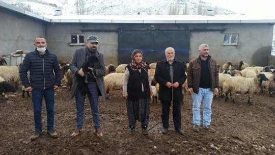 Malatya'da kuzulama dönemi başladı