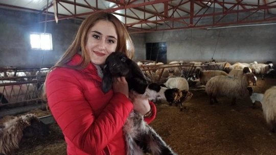 Malatya'da kuzulama dönemi başladı