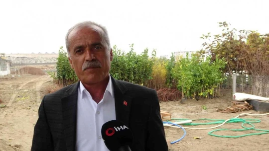 Yılda 4 milyon fidan üretimi