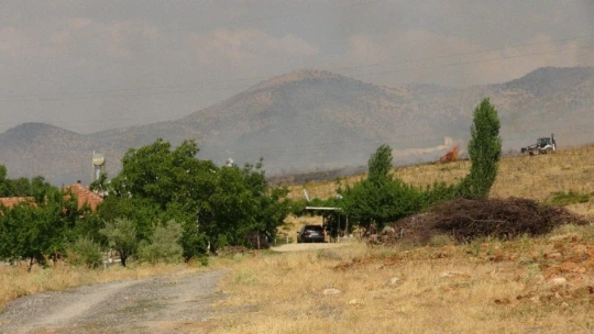 Malatya'da orman yangını