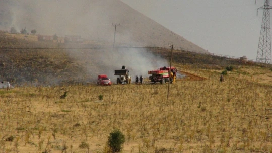 Malatya'da orman yangını