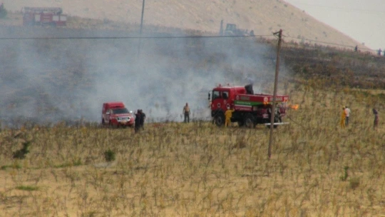 Malatya'da orman yangını