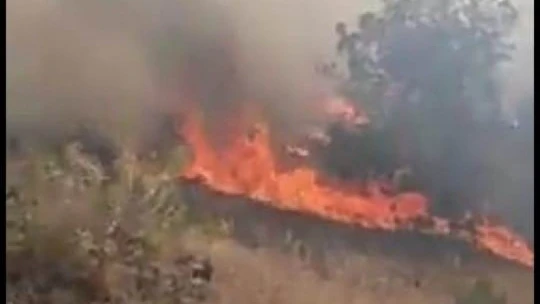 Malatya'da örtü yangını