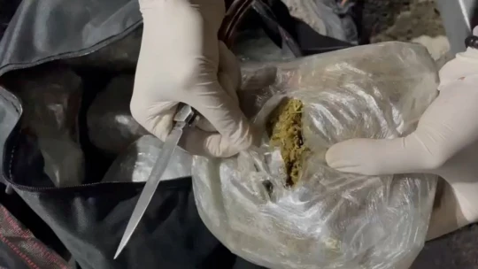 Malatya'da piyasa değeri 10 milyon TL olan uyuşturucu ele geçirildi