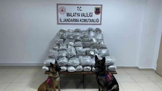 Malatya'da piyasa değeri 10 milyon TL olan uyuşturucu ele geçirildi