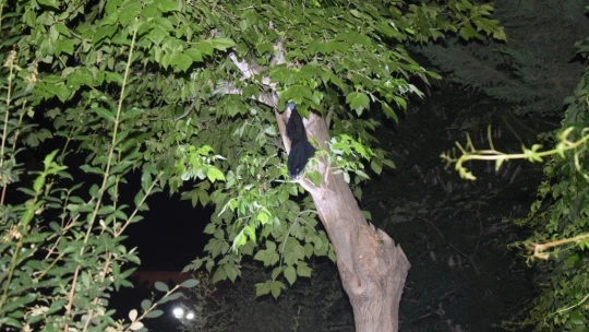 Malatya'da polis 27 yaşındaki genci ipten aldı