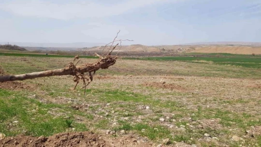 Malatya'da şaşırtan hırsızlık