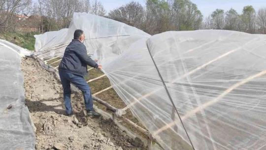 Malatya'da şiddetli rüzgar seralara zarar verdi