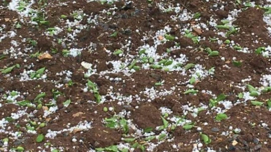 Malatya'da şiddetli sağanak ve dolu etkili oldu