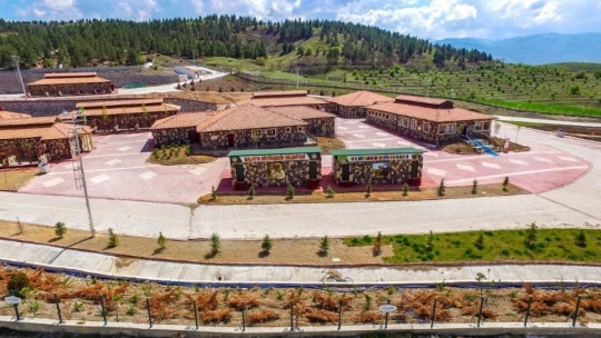 Malatya'da sokak hayvanlarının bakımına itina