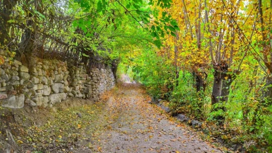 Malatya'da sonbahar ayrı güzel