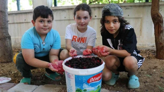 Malatya'da üretip dünyanın dört bir yanına gönderiyorlar