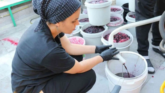 Malatya'da üretip dünyanın dört bir yanına gönderiyorlar