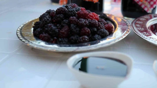 Malatya'da üretip dünyanın dört bir yanına gönderiyorlar