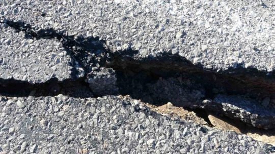 Malatya'da ürküten görüntü