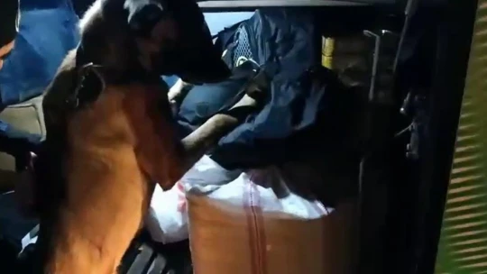 Malatya'da uyuşturucu sevkiyatına polis darbesi