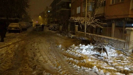 Malatya'da yoğun kar yağışı ağaçları devirdi