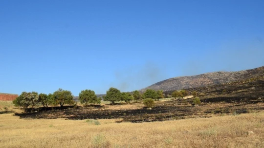 Malatya'daki yangınla ilgili 2 kişi gözaltına alındı