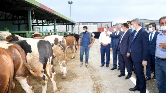 Malatya hayvan pazarı kesimhanelerinde monoray sistemine geçildi