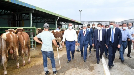 Malatya hayvan pazarı kesimhanelerinde monoray sistemine geçildi