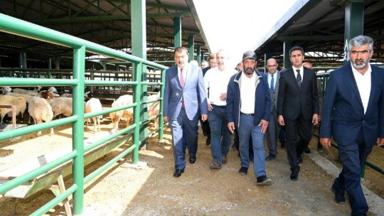 Malatya Hayvan Pazarı yenileniyor