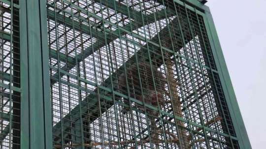 Hayvan sayısı artıyor