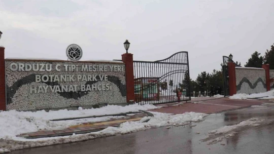 Hayvan sayısı artıyor