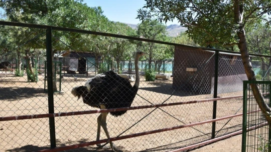 Malatya Hayvanat Bahçesi ziyarete açıldı