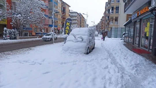 Malatya karlı bir güne uyandı
