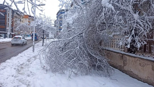 Malatya karlı bir güne uyandı