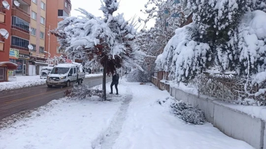 Malatya karlı bir güne uyandı