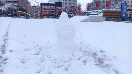 Malatya karlı bir güne uyandı