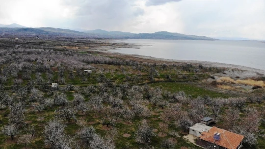 Malatya kayısıdan gelinlik giydi
