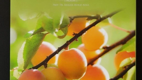 Malatya kayısısı kitabı yayımlandı